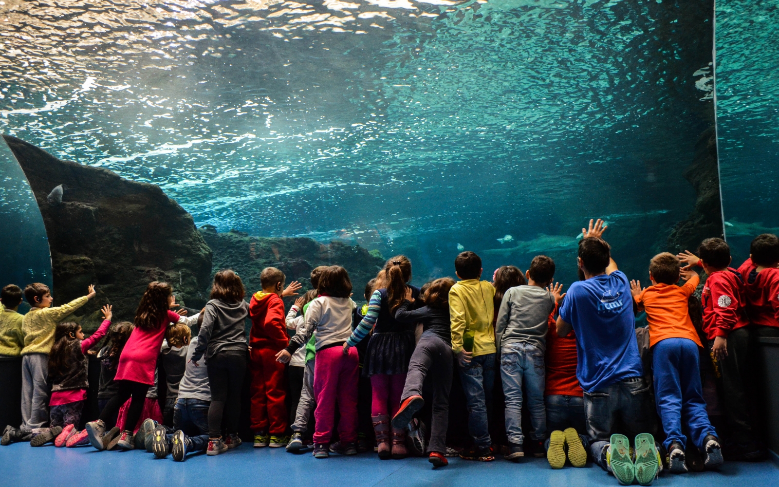 Cretan Aquarium